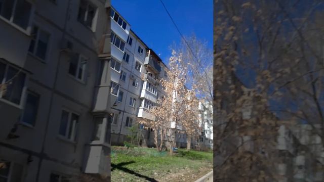 иду в школу, всё расцветает