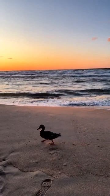 Прекрасный закат в Калининградской области