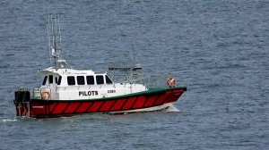 необычный пилот