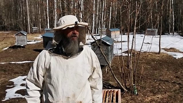 16.04.26 на эко пасеке
