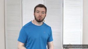 Работа тренера при сколиозе