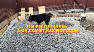 48. Переехали на Юг. Убетонились. Фонарики цветики.