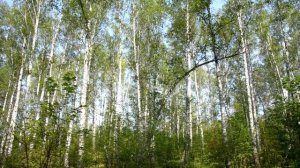 🎥СЕНТЯБРЬ