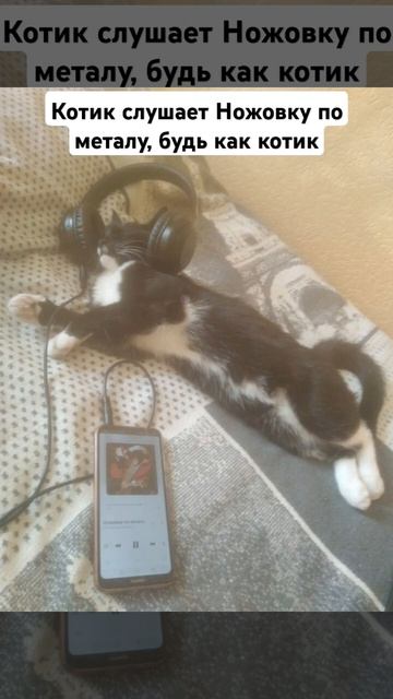 Котик и Ножовка по металлу #metal #ротполныйцемента #ножовкапометаллу