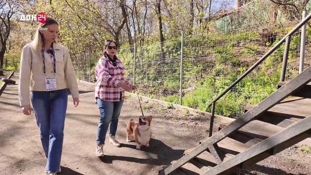 Гуляют, где приходится