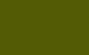 тестовая трансляция 4