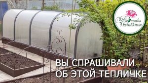 парник ТЮЛЬПАН мини