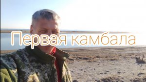 Первая камбала в апреле поймана!