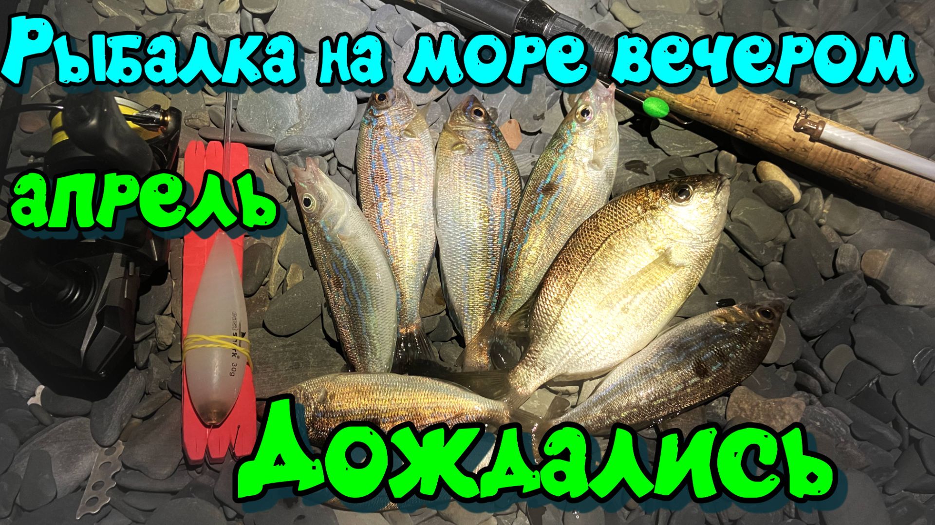 Рыбалка на Черном море вечером. Апрель. Первая ставрида и ласкирь