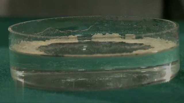 КРИСТАЛЛИЧЕСКОЕ И ЖИДКОЕ СОСТОЯНИЯ