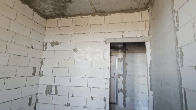 10094709 Киртбая 39