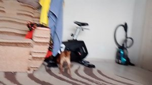 Летние уроки