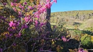 7-8 апреля 2026.Почти Рум тур вокруг дома. Новая, шинковка Fullstar.Небольшой обзор.