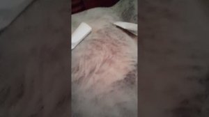 я показываю свою коллекцию из пластилина 1 часть