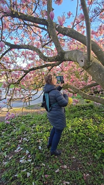 Магнолия или жена? Кого я снял на самом деле