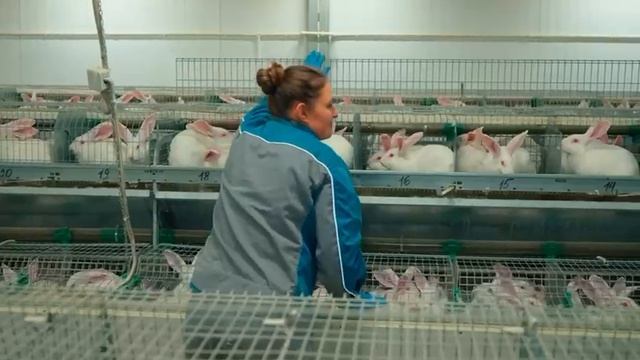 Итоги 2025 года в АПК Смоленской области