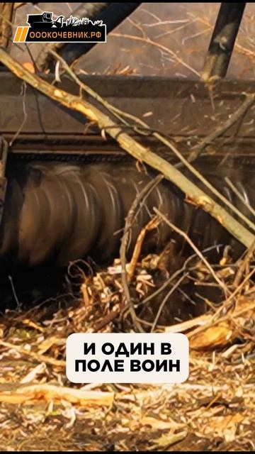 Самоходный гусеничный мульчер FAE PT-300 в деле!