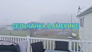 СЕЛЬЧАНКА В АМЕРИКЕ Жизнь на ферме