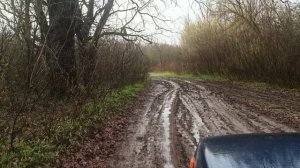 НИВА. ОСТРОВ САРПИНСКИЙ. 14.04.2026. NIVA. SARPINSKY ISLAND🏝