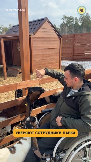 парк альпак