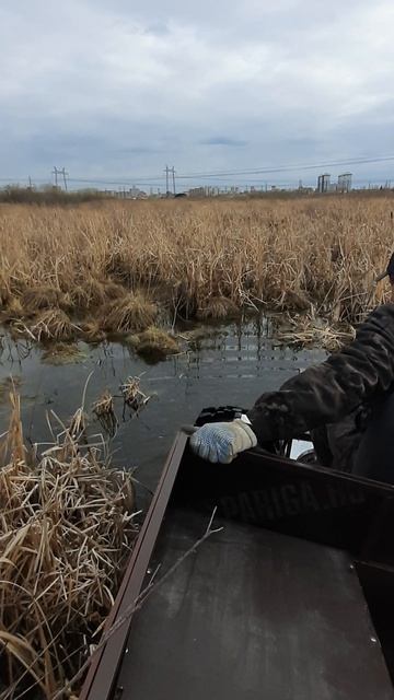 болотоход косач.