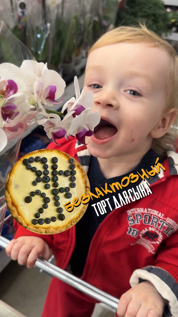 Безлактозный торт