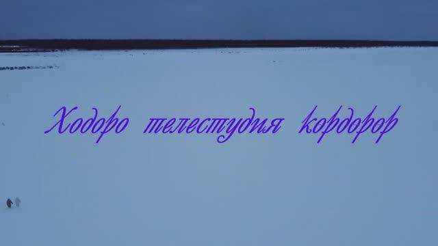 Ходоро телестудия 15 биэриитэ