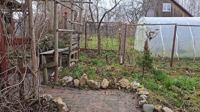 Переменчивая погода у автолавки и нежданный гость