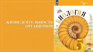 Урок 12. Жизнедеятельность организмов