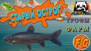 Точки клева на Старом Остроге. Русская рыбалка 4. Лягушка, Густера, Амур, Уклейка. Russian Fishing 4