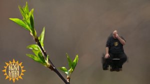 Механика зацепления силы.