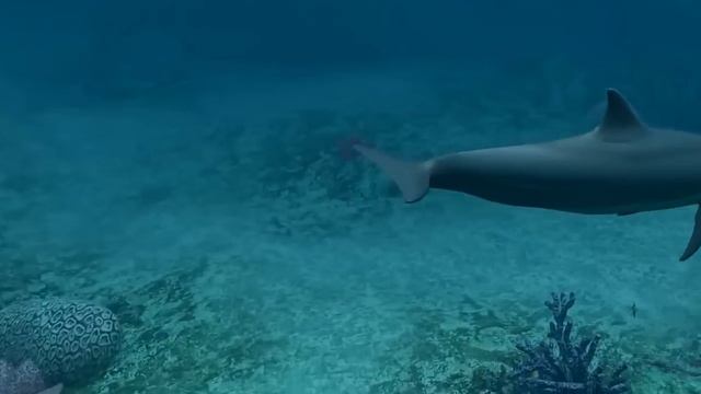 Мелодия дельфинов  звуки природы для расслабления перед сном