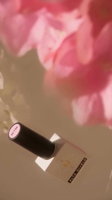 8704953552353644355 2