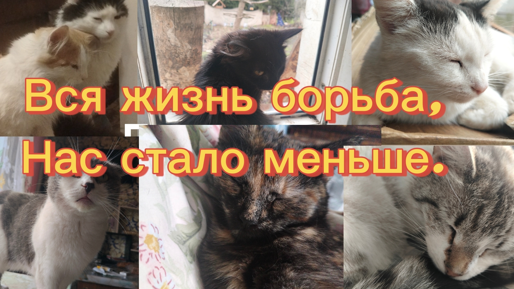 Вся жизнь борьба.Нас стало меньше.16-04-2026