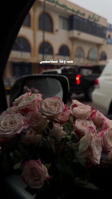 قلبه معي وقلبي معاه اغاني حب