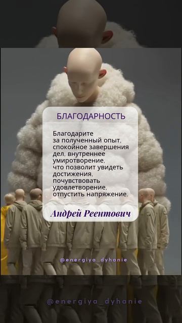 Солнечные рекомендации. Завершение. Благодарность.   Андрей Реентович shorts