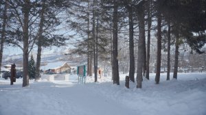 ПАМЯТЬ МАЛОЙ РОДИНЫ