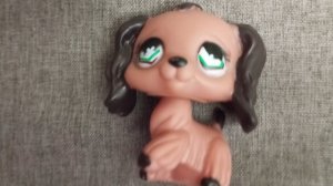 распаковка поддельного лпс