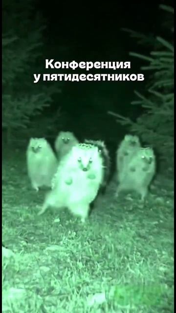 Конференция у баптистов и пятидесятников - наглядная разница