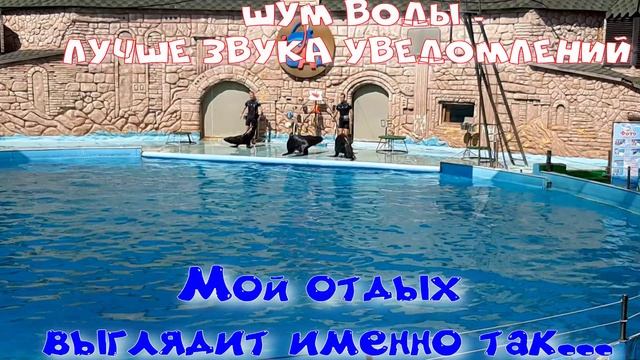 Лето...Танцы