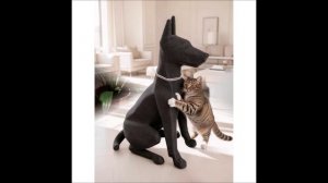 Внимание! Новинка на нашем сайте https://mybobr.ru