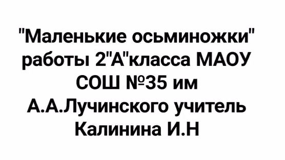маленькие осминожки 2 а класс