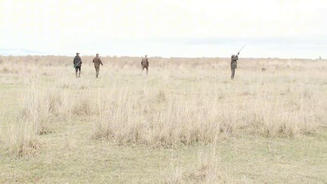 10.04.26 ВИМ -  Весенние Испытания Молодняка