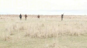 10.04.26 ВИМ -  Весенние Испытания Молодняка