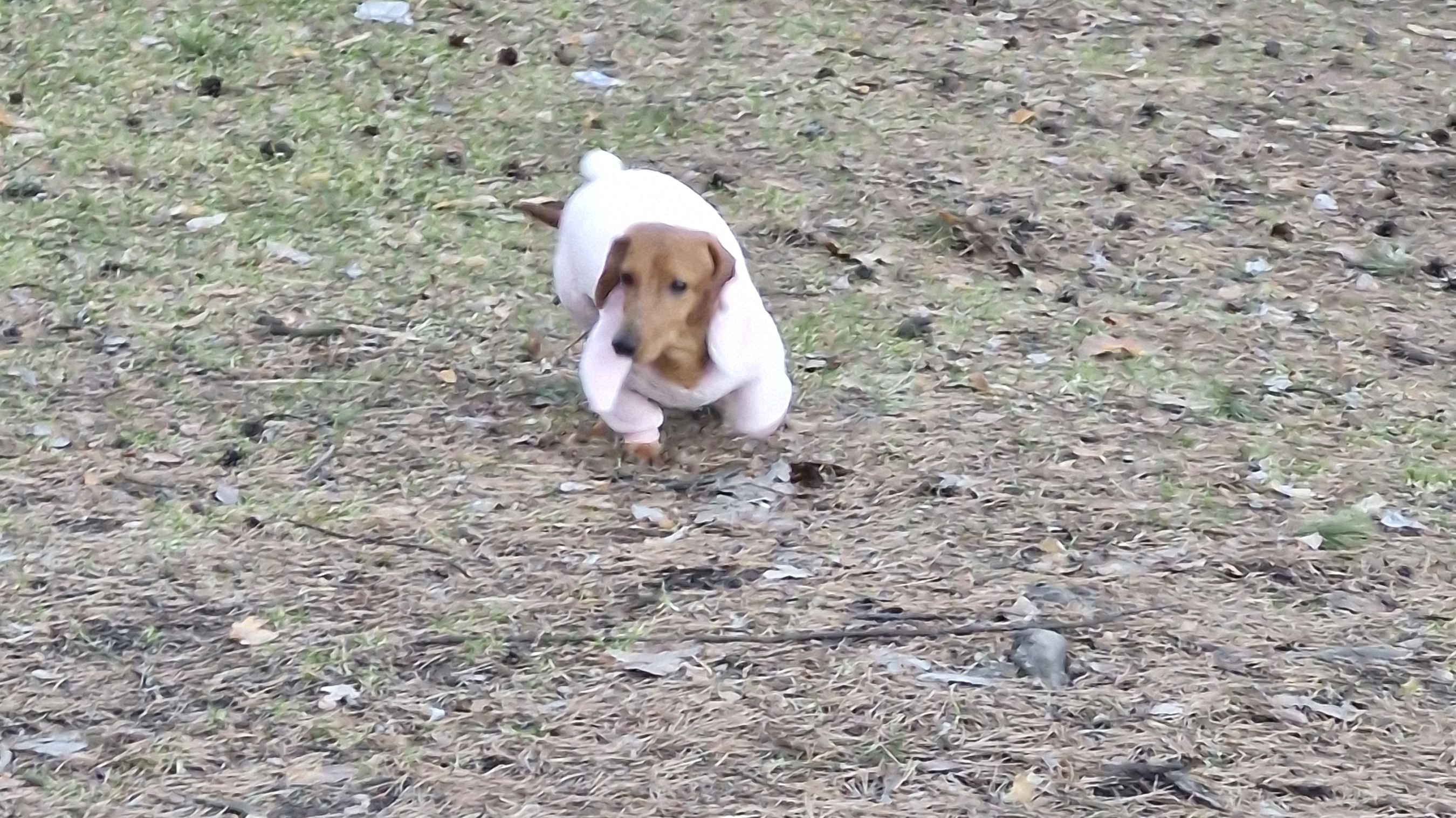 Рыбалка продолжается есть улов