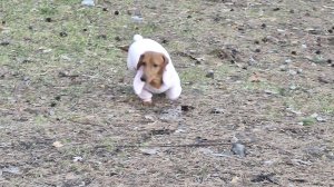 Рыбалка продолжается, есть улов