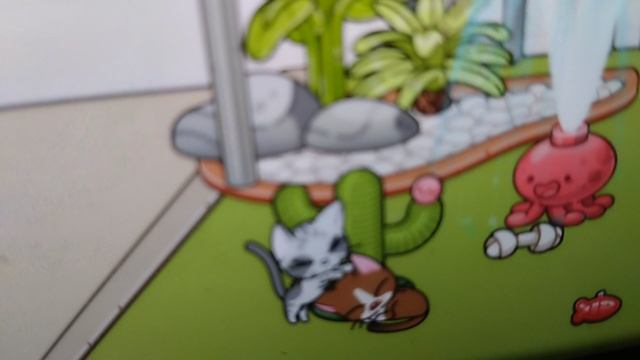 кот топчит кота