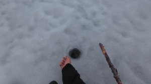 О ТАКОЙ РЫБАЛКЕ УМАЛЧИВАЮТ. РЫБАЛКА НА ОЗЕРЕ ГДЕ НИКТО НЕ ЛОВИЛ МНОГО ЛЕТ. ЛУЧШАЯ РЫБАЛКА НА ЖЕРЛИЦЫ