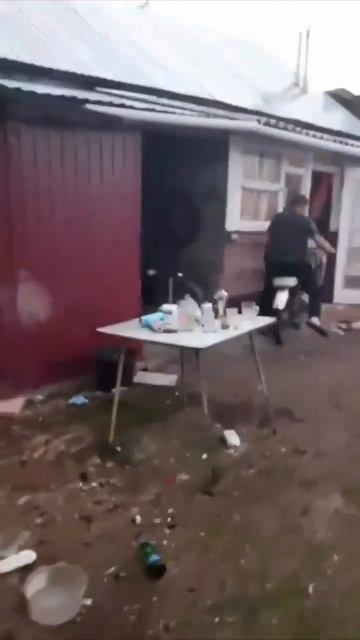 Кота напугал только 🐱