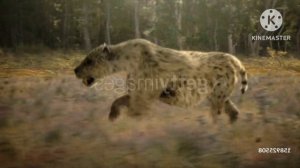 A look that a Prehistoric Mammals?